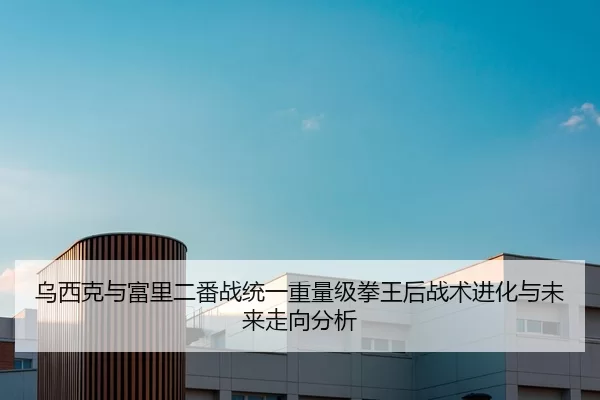 乌西克与富里二番战统一重量级拳王后战术进化与未来走向分析